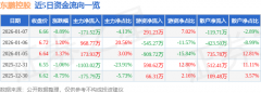 东鹏控股2025年三季报
