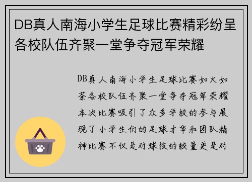 DB真人南海小学生足球比赛精彩纷呈各校队伍齐聚一堂争夺冠军荣耀